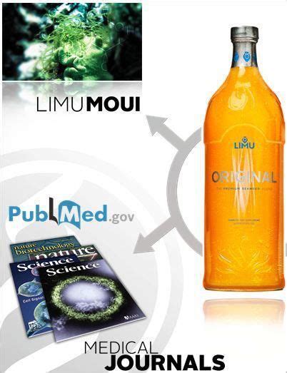 L odeal Magic Limu and Sports Performance: Enhancing Athletic Abilities